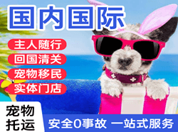 漠河空运公司国际宠物托运 【国